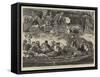 Henley-On-Thames Regatta, Picknicking by the Riverside-Francis S. Walker-Framed Stretched Canvas