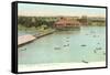 Henley Park Lake, Fort Worth, Texas-null-Framed Stretched Canvas