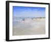 Henley Pier-Craig Trewin Penny-Framed Art Print