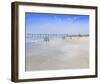 Henley Pier-Craig Trewin Penny-Framed Art Print