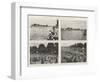 Henley Regatta, 1901, the Grand Challenge Cup-null-Framed Giclee Print