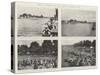 Henley Regatta, 1901, the Grand Challenge Cup-null-Stretched Canvas