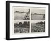 Henley Regatta, 1901, the Grand Challenge Cup-null-Framed Giclee Print