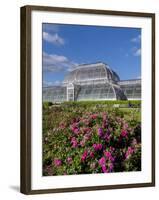 Henley Regatta, Henley-On-Thames, Oxfordshire, England, United Kingdom-Charles Bowman-Framed Photographic Print