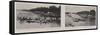 Henley Regatta in the Coronation Year, Two Important Heats-null-Framed Stretched Canvas