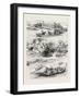 Henley Regatta: Sketches on the River 1880-null-Framed Giclee Print