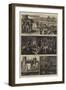 Henley Regatta-Joseph Nash-Framed Giclee Print