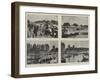 Henley Regatta-null-Framed Giclee Print