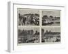 Henley Regatta-null-Framed Giclee Print