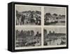 Henley Regatta-null-Framed Stretched Canvas