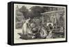 Henley Royal Regatta-Arthur Hopkins-Framed Stretched Canvas