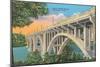 Henley Street Bridge, Knoxville-null-Mounted Premium Giclee Print