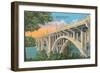 Henley Street Bridge, Knoxville-null-Framed Art Print