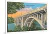 Henley Street Bridge, Knoxville-null-Framed Art Print