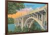 Henley Street Bridge, Knoxville-null-Framed Art Print