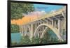 Henley Street Bridge, Knoxville-null-Framed Art Print