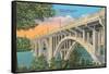 Henley Street Bridge, Knoxville-null-Framed Stretched Canvas