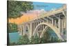 Henley Street Bridge, Knoxville-null-Stretched Canvas