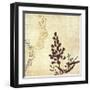 Henna Highlights 2-Louis Duncan-He-Framed Art Print