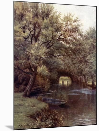 Henneaton Backwater-Alfred Robert Quinton-Mounted Giclee Print