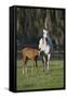 Hennessy Arabians 011-Bob Langrish-Framed Stretched Canvas