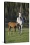 Hennessy Arabians 011-Bob Langrish-Stretched Canvas