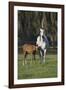 Hennessy Arabians 011-Bob Langrish-Framed Photographic Print