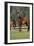 Hennessy Arabians 012-Bob Langrish-Framed Photographic Print