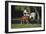 Hennessy Arabians 015-Bob Langrish-Framed Photographic Print