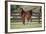 Hennessy Arabians 017-Bob Langrish-Framed Photographic Print