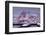 Henningsvaer (Fishing Village), Ausvagoya (Island), Lofoten, 'Nordland' (County), Norway-Rainer Mirau-Framed Photographic Print