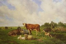 Sheep and Cattle in a Field-Henri Auguste Calixte Cesar Serrur-Laminated Giclee Print