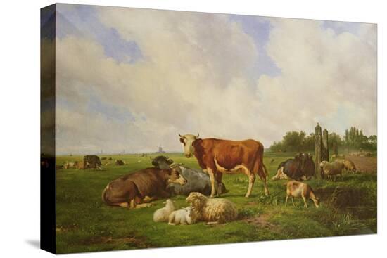 Stretched Canvas Print, , large