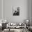 Henri Becquerel, Nobel Prize Winner in Physics-Nadar-Photographic Print displayed on a wall