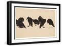 Black Frame