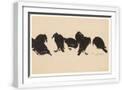White Frame