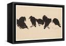 Canvas Black