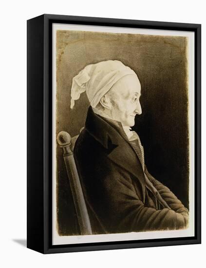 Henri De Gallon, 1819-John James Audubon-Framed Stretched Canvas