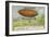 Henri De La Vaulx Hovering in an Airship Above Longchamps for Several Hours, 1906-null-Framed Giclee Print