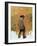 Henri de Toulouse-Lautrec Aged 19, 1883-Rene Princeteau-Framed Giclee Print