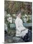 Wood Mount