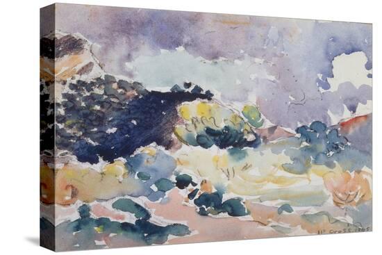 Stretched Canvas Print, , large