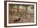 Brown Frame