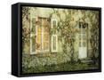 Framed Canvas