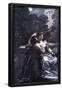 Essential Black