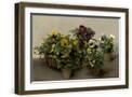 Brown Frame