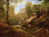 Pines and Birch Trees or, The Forest of Fontainebleau, c.1855-57-Henri Joseph Constant Dutilleux-Stretched Canvas