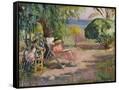 Canvas Black