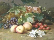 Still Life with Flowers and Fruit-Henri Robbe-Laminated Giclee Print