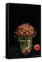 Canvas Black